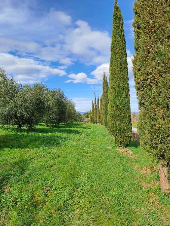 Podere Belvedere Villa Classic Tuscan Мальяно-ин-Тоскана Экстерьер фото